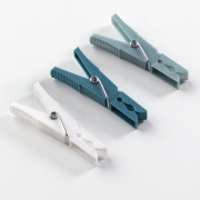 Wasknijpers set van 24